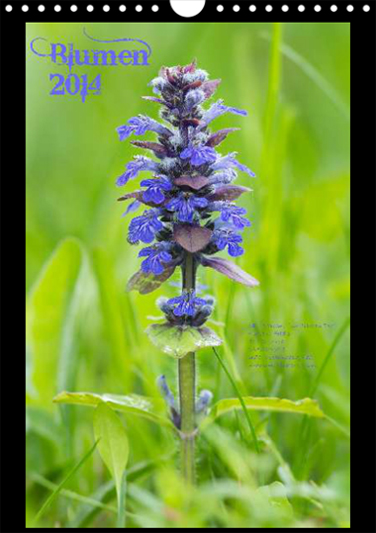 Kalender Blumen 2014 CR-Mediendesign Carmen Rieb
