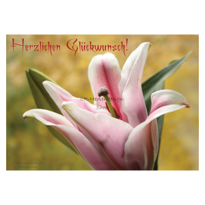 postcard_birthday_german