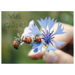 greeting_card_Viel_Glueck_front